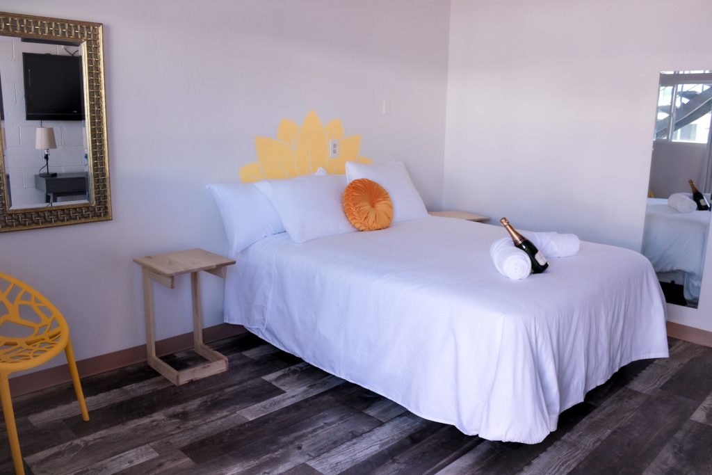 hotel cuernavaca pet friendly